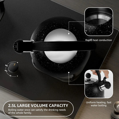 Whistling Kettle Stainless Steel Stove Top Kettle Rapid Boiling Stove Top Teapots with Whistle Spout for Gas Induction Cooker