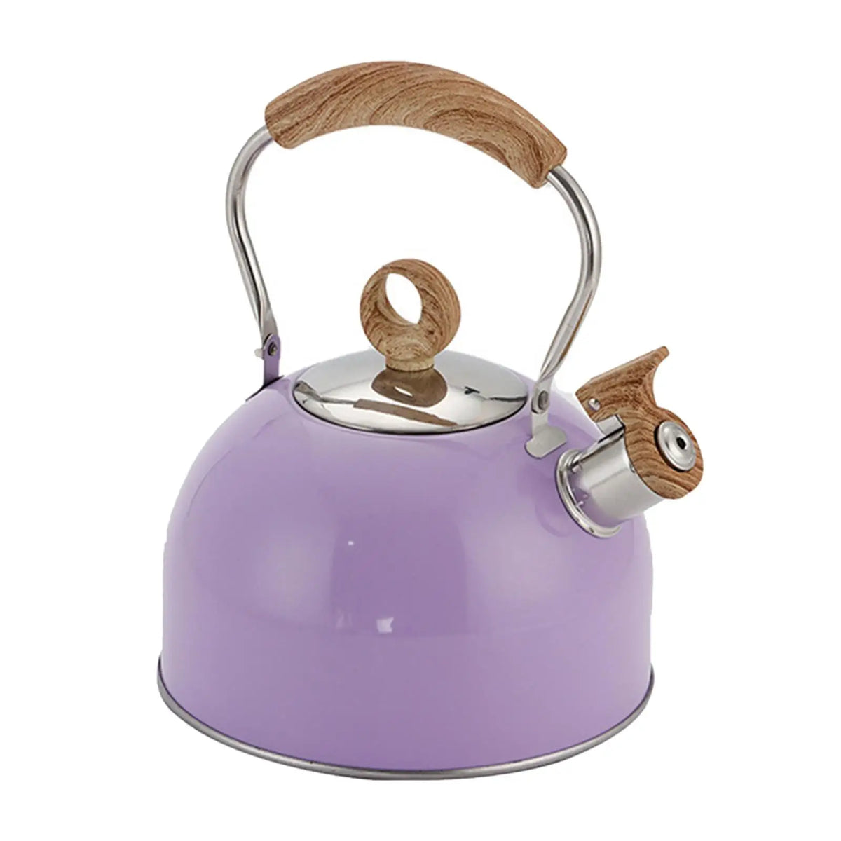 Whistling Tea Kettle for Stove Top 2.5L Stainless Steel Kettle with Heat Resistant Handle for Fast Boiling Coffee Milk and Tea